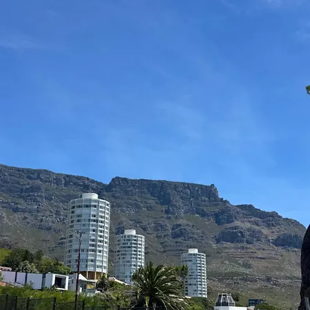 The Scenic Disa Park Apartment, Table Mountain, City & Ocean Views Cape Town Exterior photo