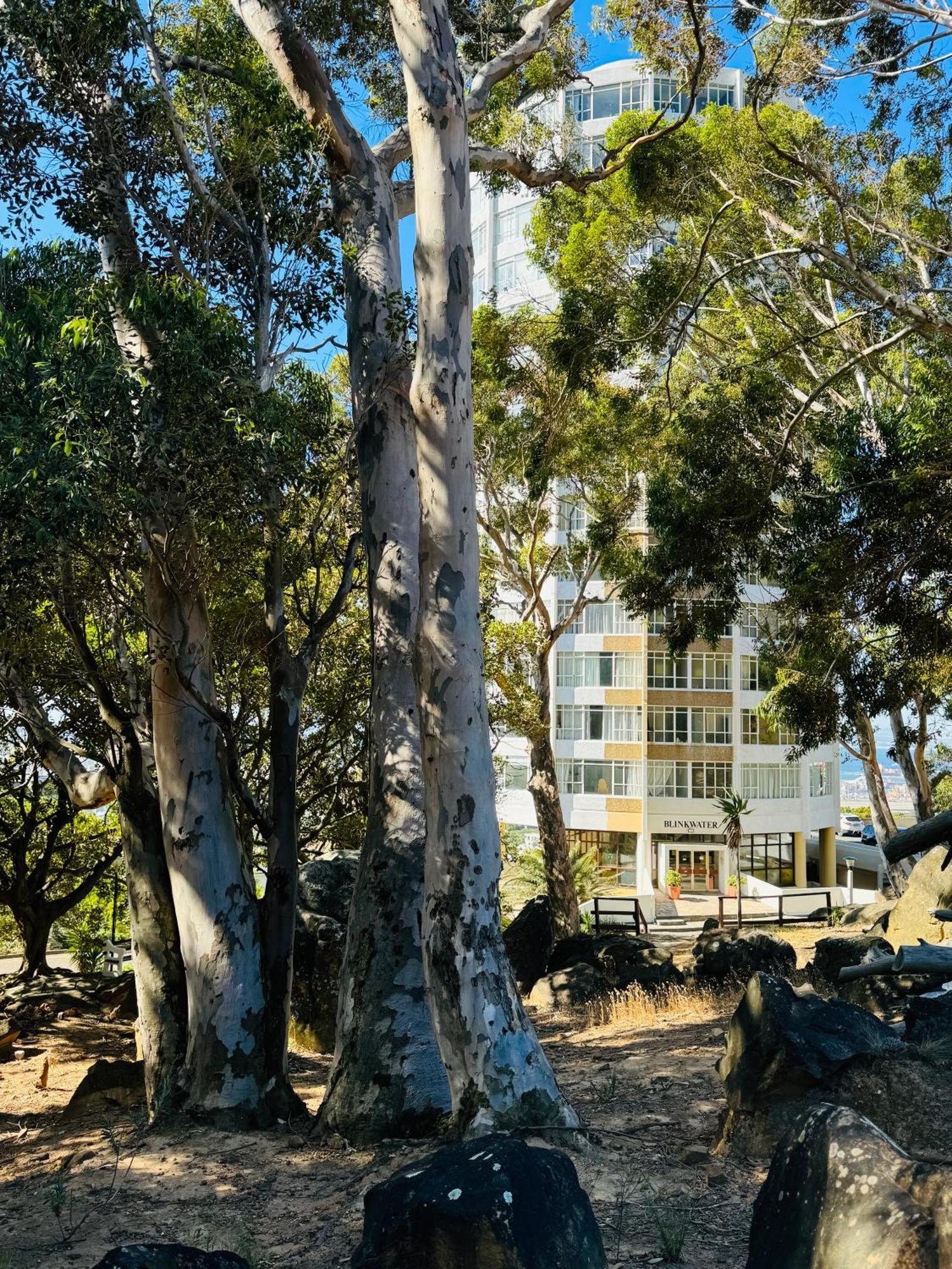 The Scenic Disa Park Apartment, Table Mountain, & Ocean Views * Cape Town